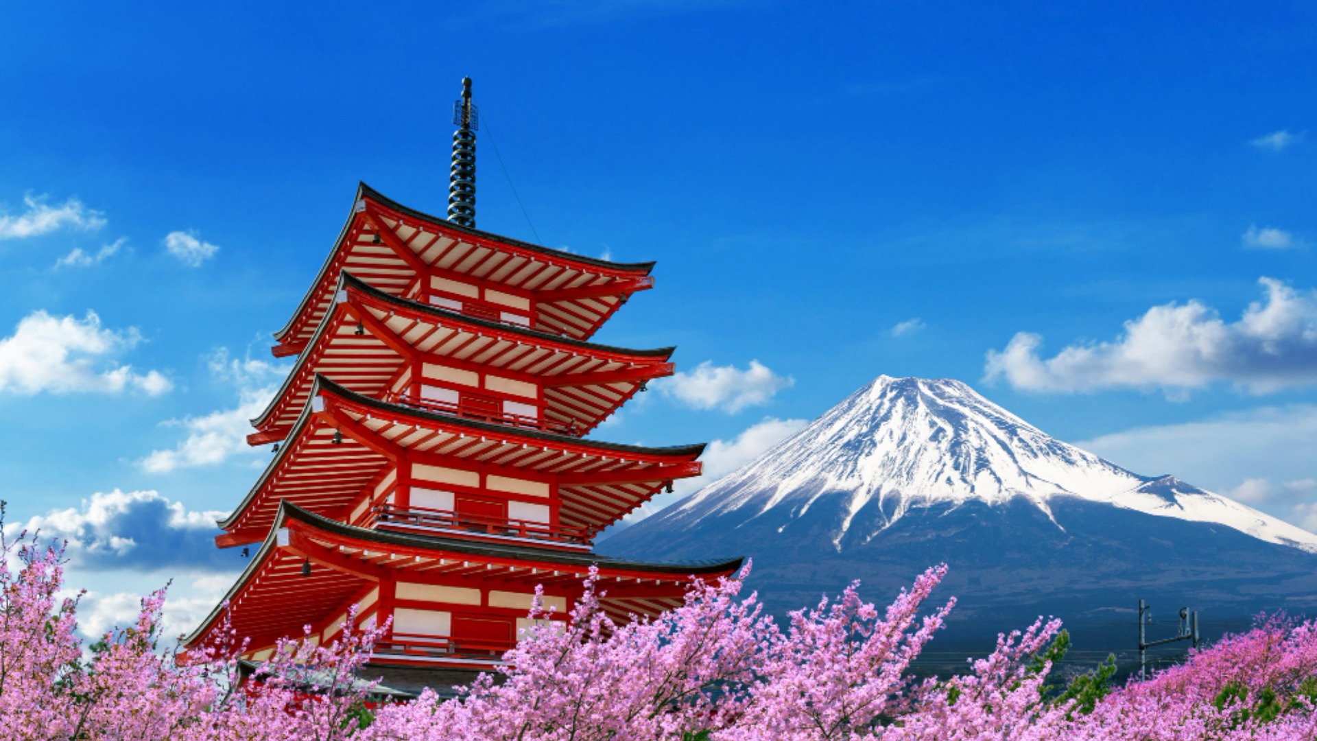 japan to resume tourism