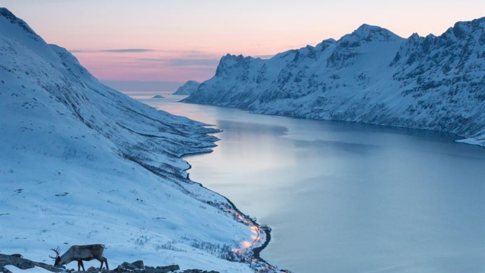 SAS Expands Winter Routes to Scandinavian Destinations