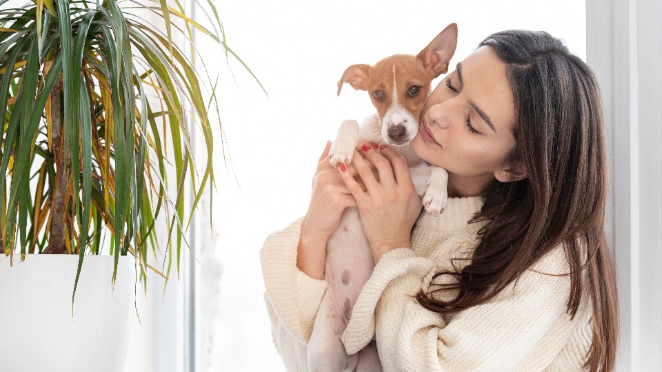 Four Seasons Hotel in London Launches Furry Friends Package