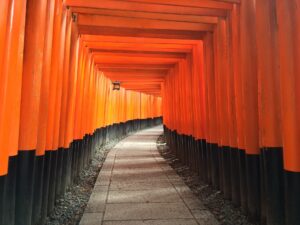 What does nowadays Japan really look like?