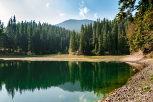 There Is A 50% Loss Of Water In The World’s Greatest Lakes And Basins