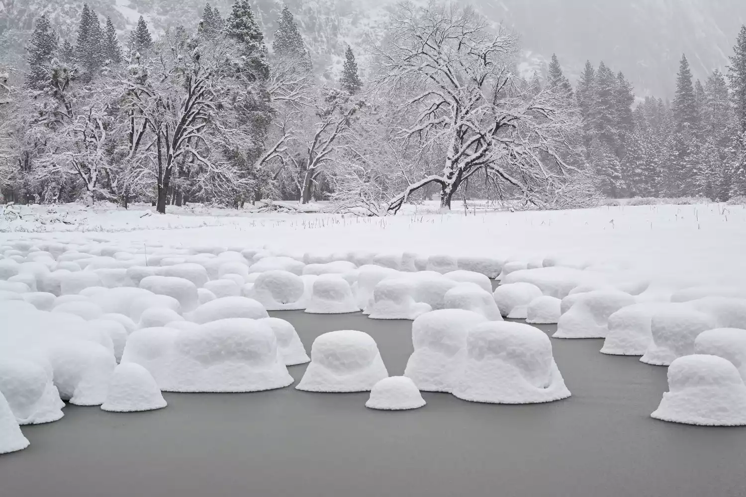 Yosemite National Park Now Closed After Massive Snow Fall