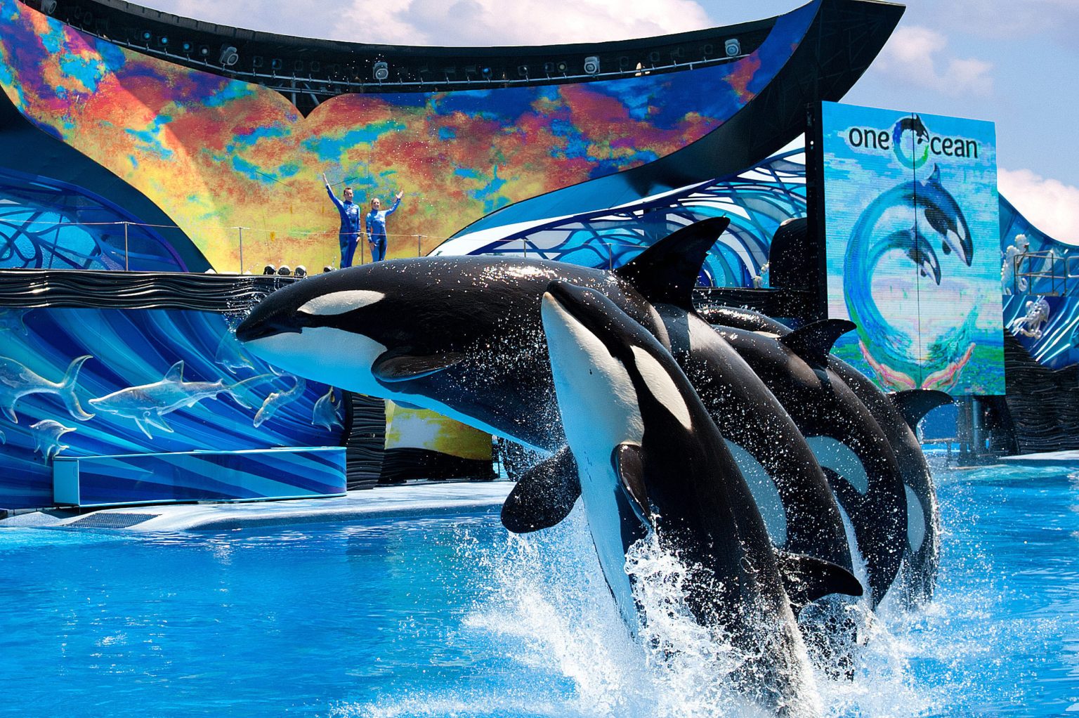 New board of directors for SeaWorld Entertainment