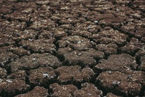 European Drought Observatory: worst drought in the last 500 years