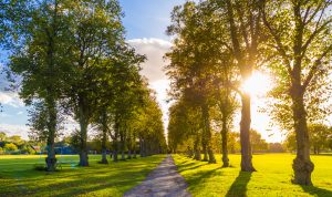 New IHG Hotels & Resorts Global HQ Opens in Windsor, UK