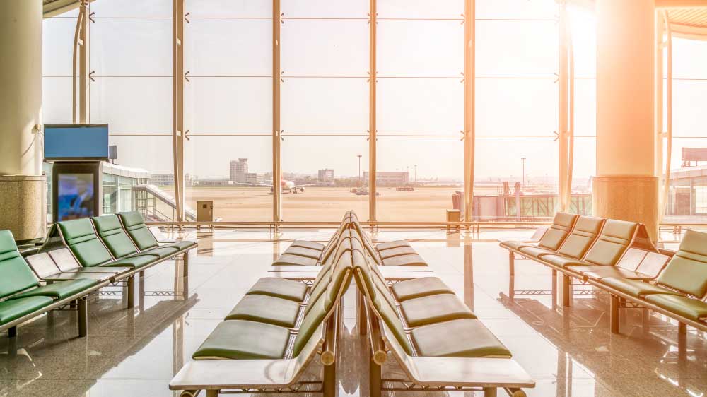 Latest report states insect infestation grounded several planes at the Heathrow airport last year