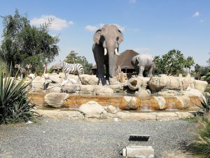 Dubai Safari Park resumes activity today