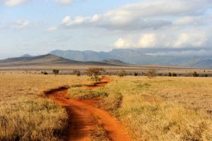 Wilderness Safaris Vumbura Plains Camp set to reopen after extensive refurbishment