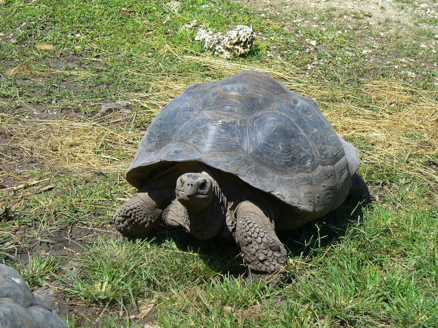 Silversea launches Galápagos tours