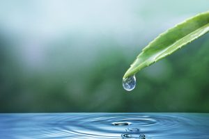 WTTC Unveils Its ‘Water Roadmap For Travel & Tourism’ Report