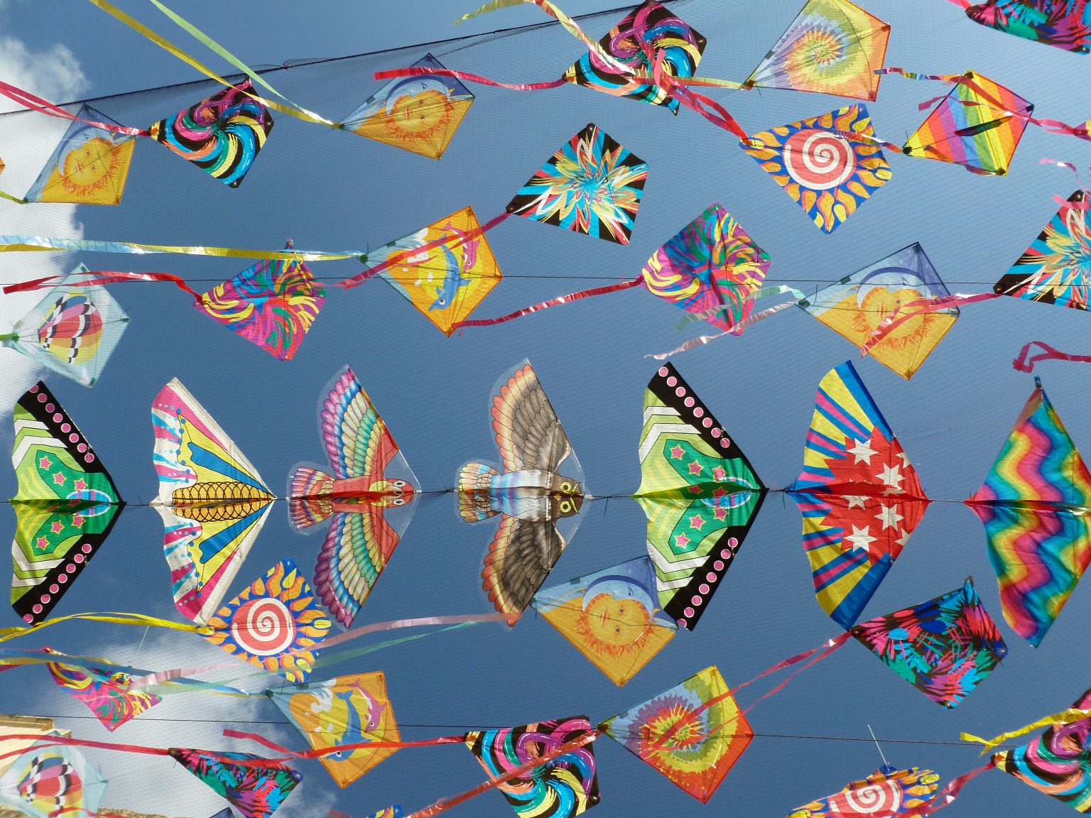 Unique kite-flying festival to be hosted by Manchester