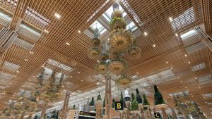 Bengaluru Airport: Domestic Flights Now Available at Terminal 2