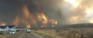 Wildfires in Western US to chase away tourists