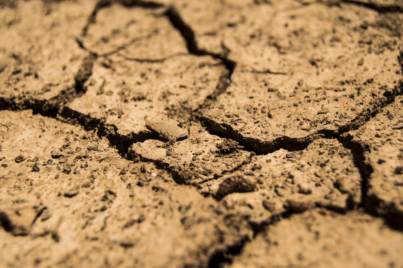 South Africa: water crisis triggers travel warnings