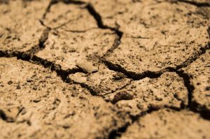 South Africa: water crisis triggers travel warnings