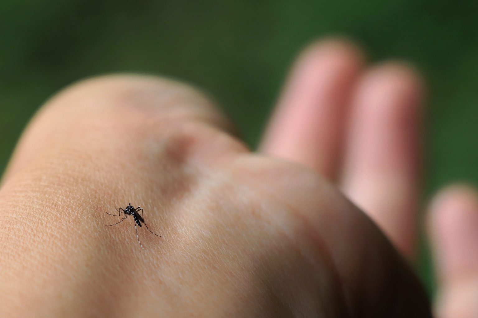 CDC Issues Malaria Warning
