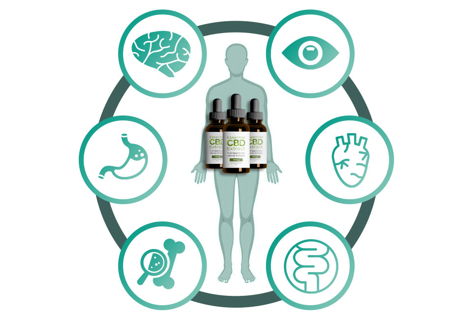 Benefit from these online CBD Extract special offers