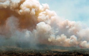 New York City Wildfire Smoke Updates