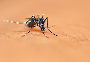 Luxembourg announces its first case of Zika infection