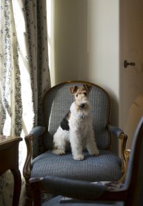 Enchante, Silicon Valley’s Boutique Hotel Scores Perfect 5