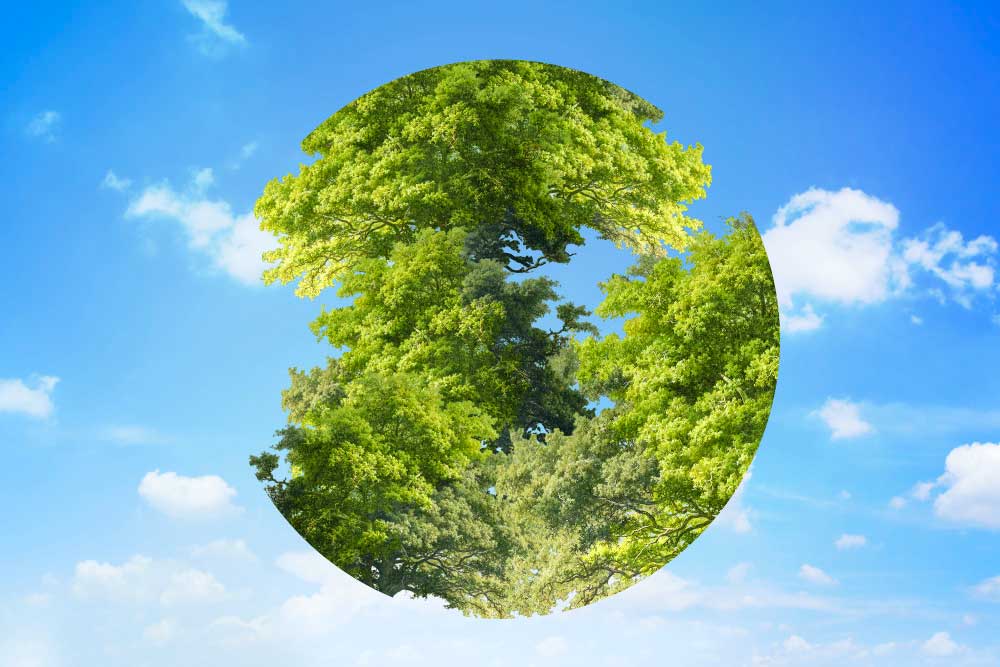 Dassault Systèmes – new hope for the decarbonization of flying