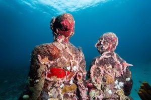 Discover Enchanting Spectres: New Ethereal Figures Grace the Caribbean Waters
