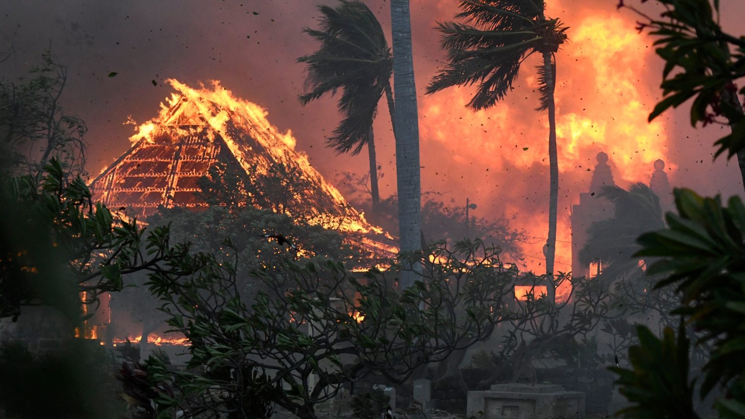 Fires In Hawaii Have Prompted Residents To Call For A Temporary Tourism Halt