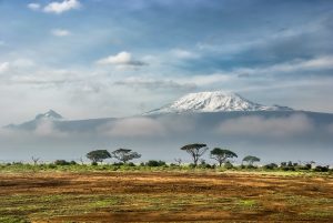 Tanzania reports considerable foreign tourists arrival increase