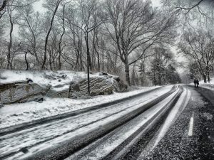 NY Faces Biggest Snow in 2 Years: Expect NE Flight Delays/Cancellations