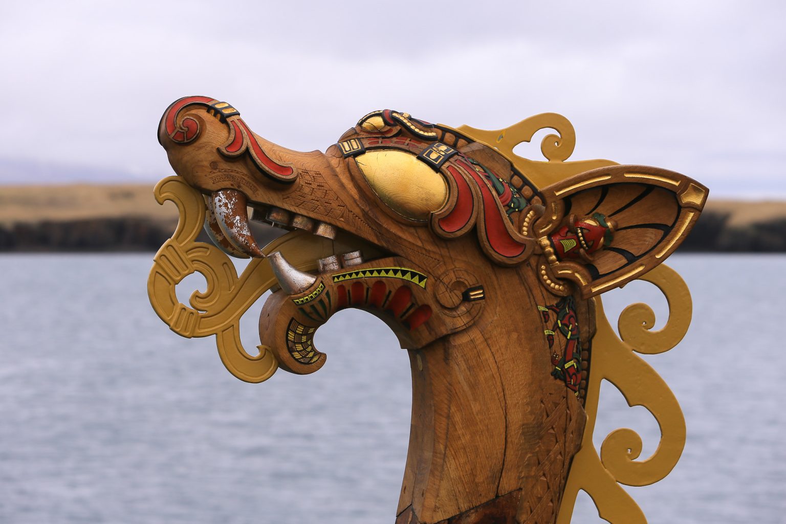 Reservations now available for the Viking Ship Tour 2018
