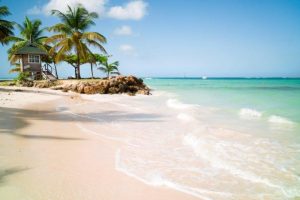 Thomas Cook Airlines launches Tobago flights