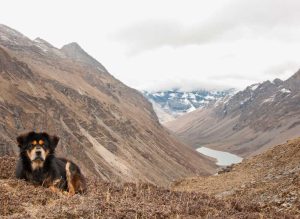 Bhutan to reopen for foreign tourists
