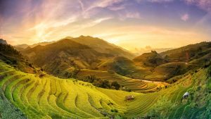 Australia hosted “Rediscover Vietnam”