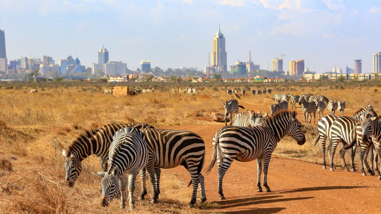 IndiGo Adds Nairobi as its 27th International Destination
