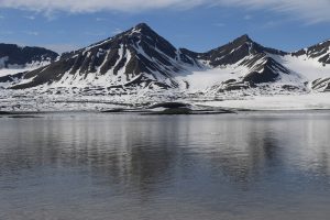 Norway Implements New Tourism Regulations in Svalbard for Wildlife Protection