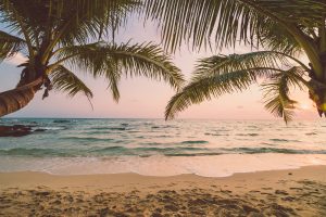 Legislators Reject Hawaii Tourism Bill