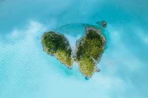 The World Travel & Tourism Council partners the Sustainable Hospitality Alliance