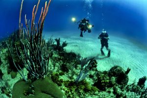 Visit the first ever underwater museum in Florida