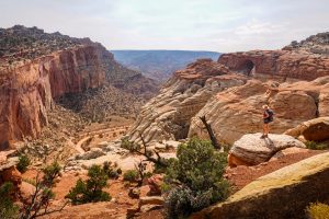 Capitol Reef To Welcome Visitors With New Offerings