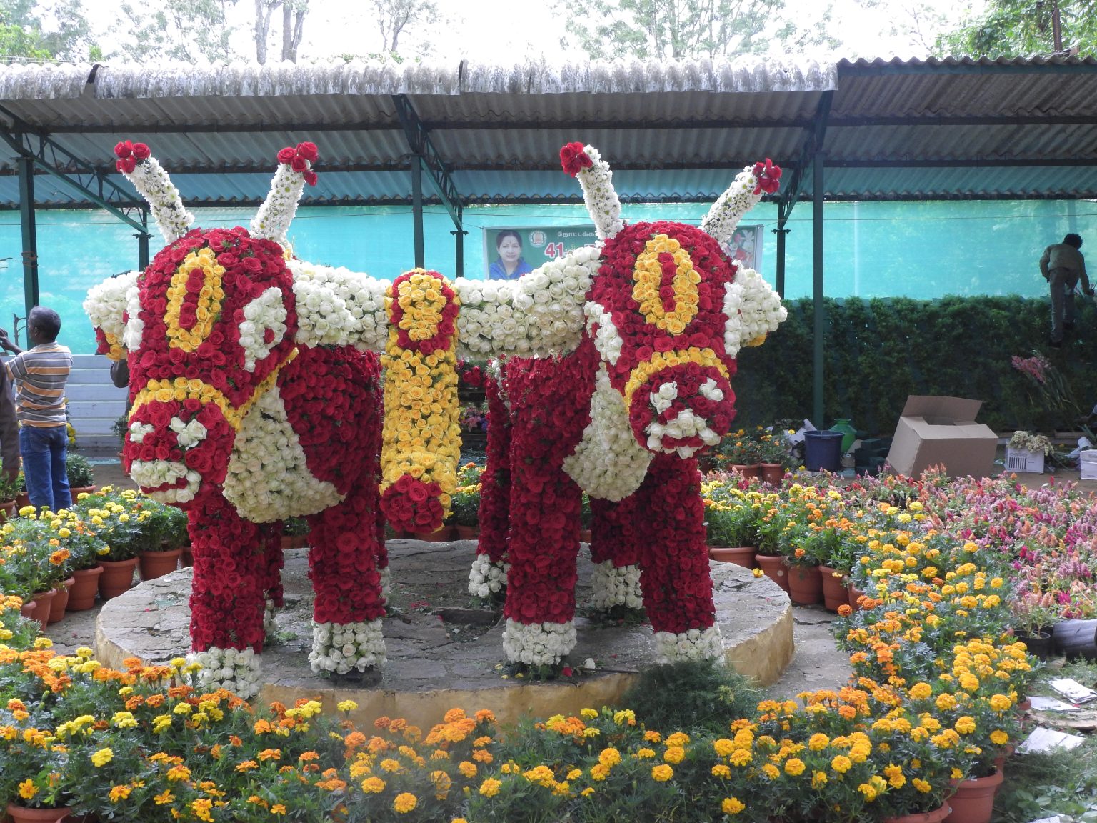 Summer festival boosts visitor numbers in Yercaud