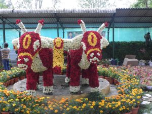 Summer festival boosts visitor numbers in Yercaud