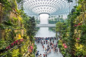 Climb@T3 Is The Newest Feature At Changi Airport