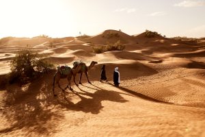 Saudi Arabia’s Tourist Industry Is Booming, Now Topping Dubai
