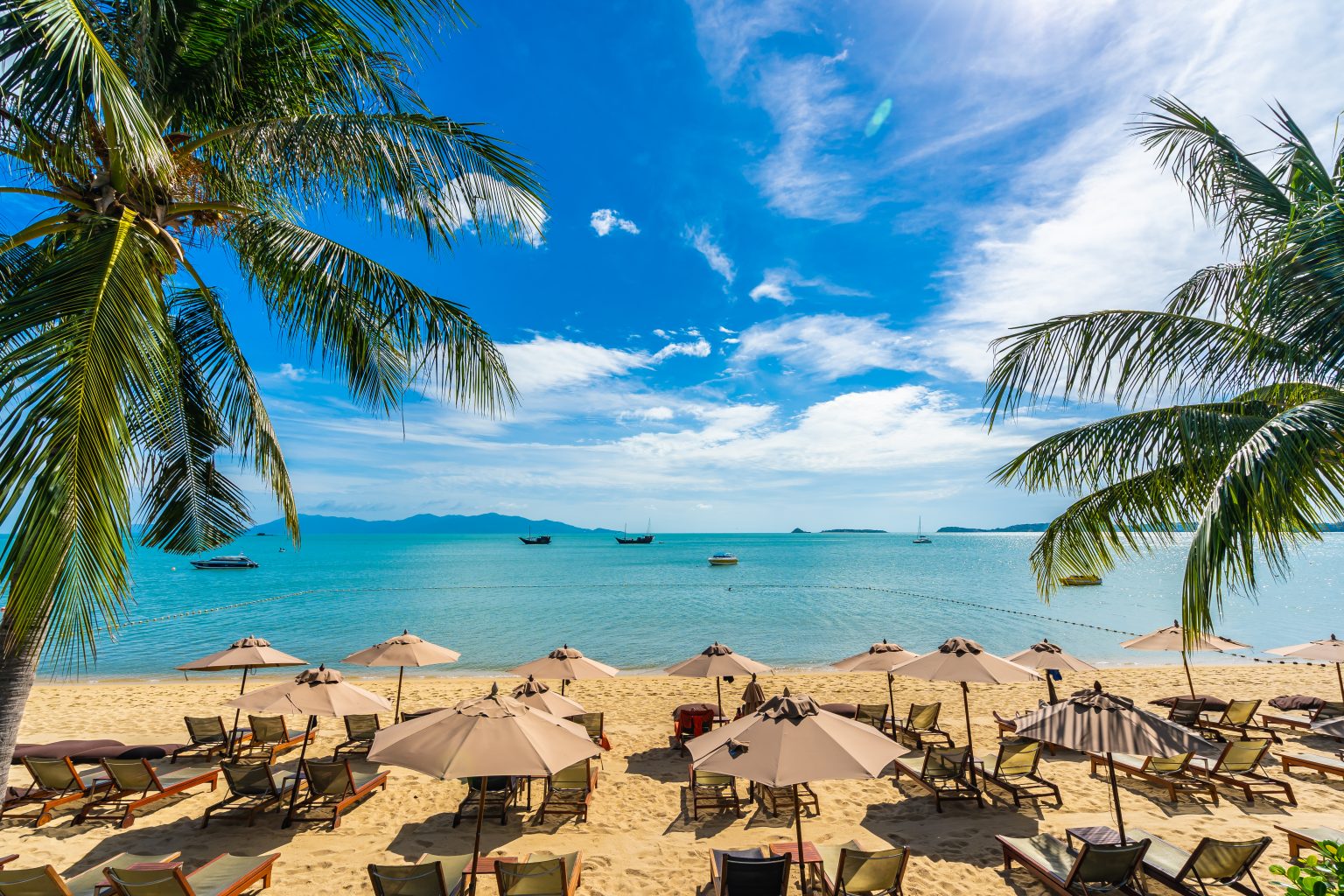 The Dominican Republic Has Just Released Its Brand-New Winter Campaign