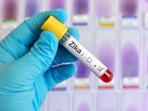 Northern Vietnam is at high Zika risk