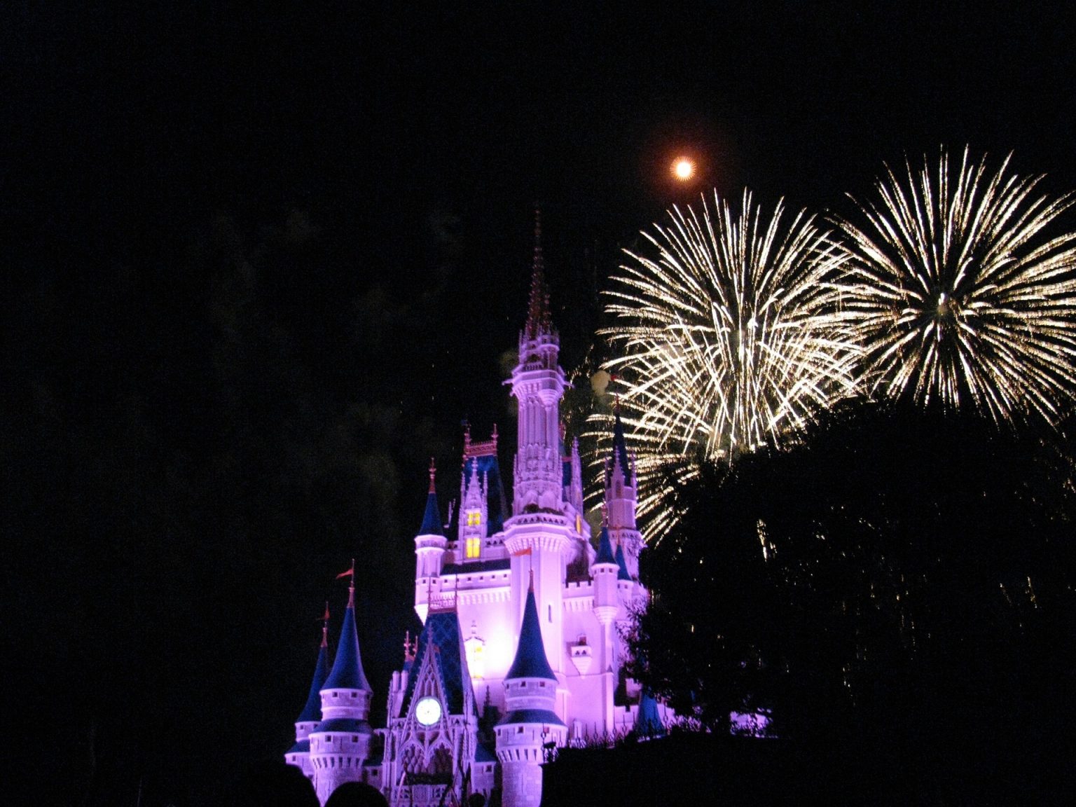 Disney Theme Park was opened in China