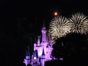 Disney Theme Park was opened in China