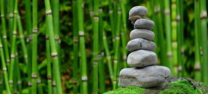 The World Travel Association’s 2022 International Wellness Tourism Conference has been rescheduled