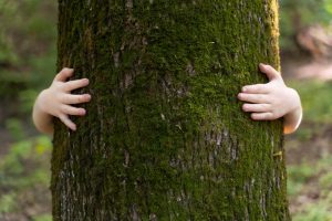 U.S. Travel Association launches the Sustainable Travel Coalition