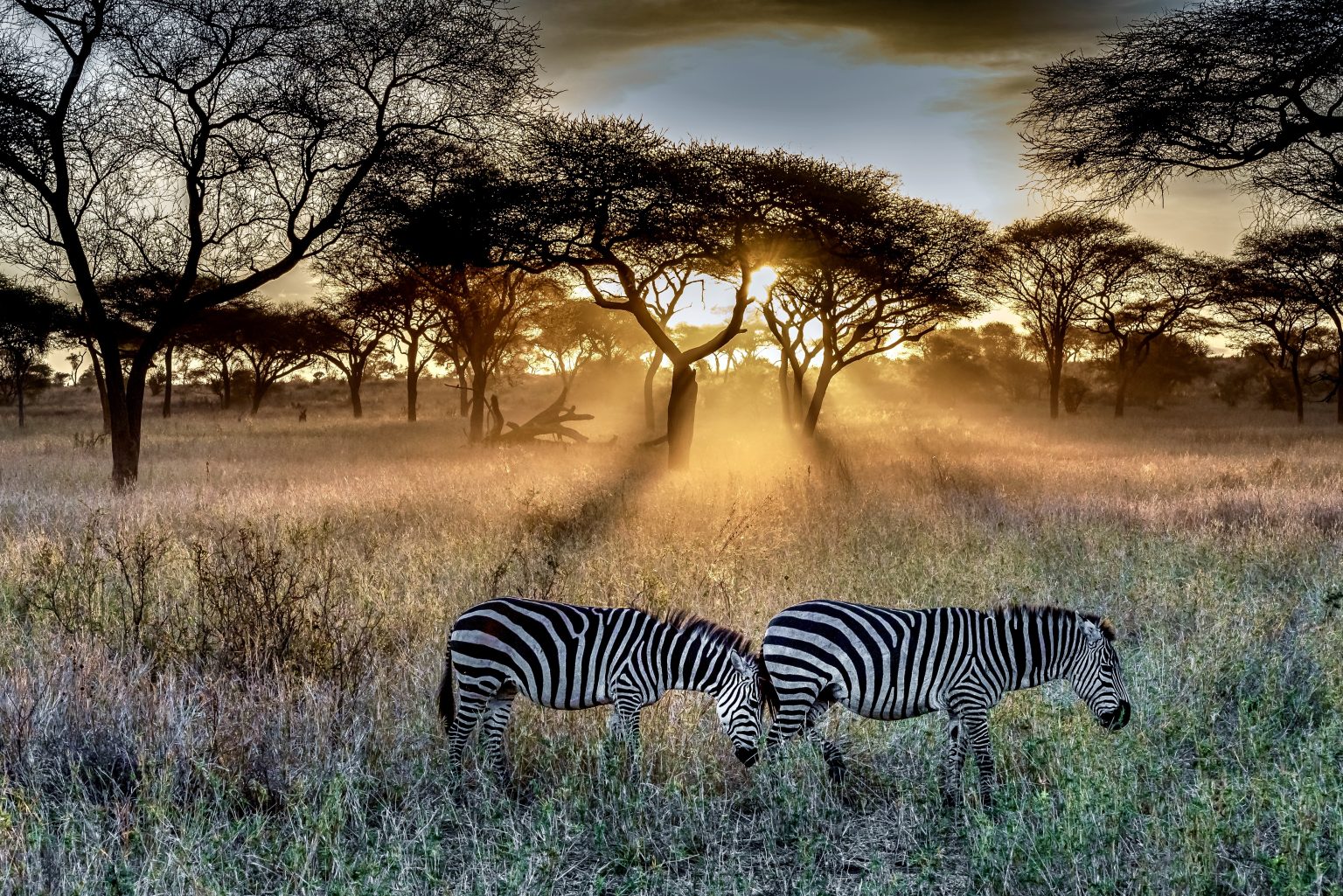 We Are Victoria Falls and Cape Town Tourism Create the Ultimate African Adventure